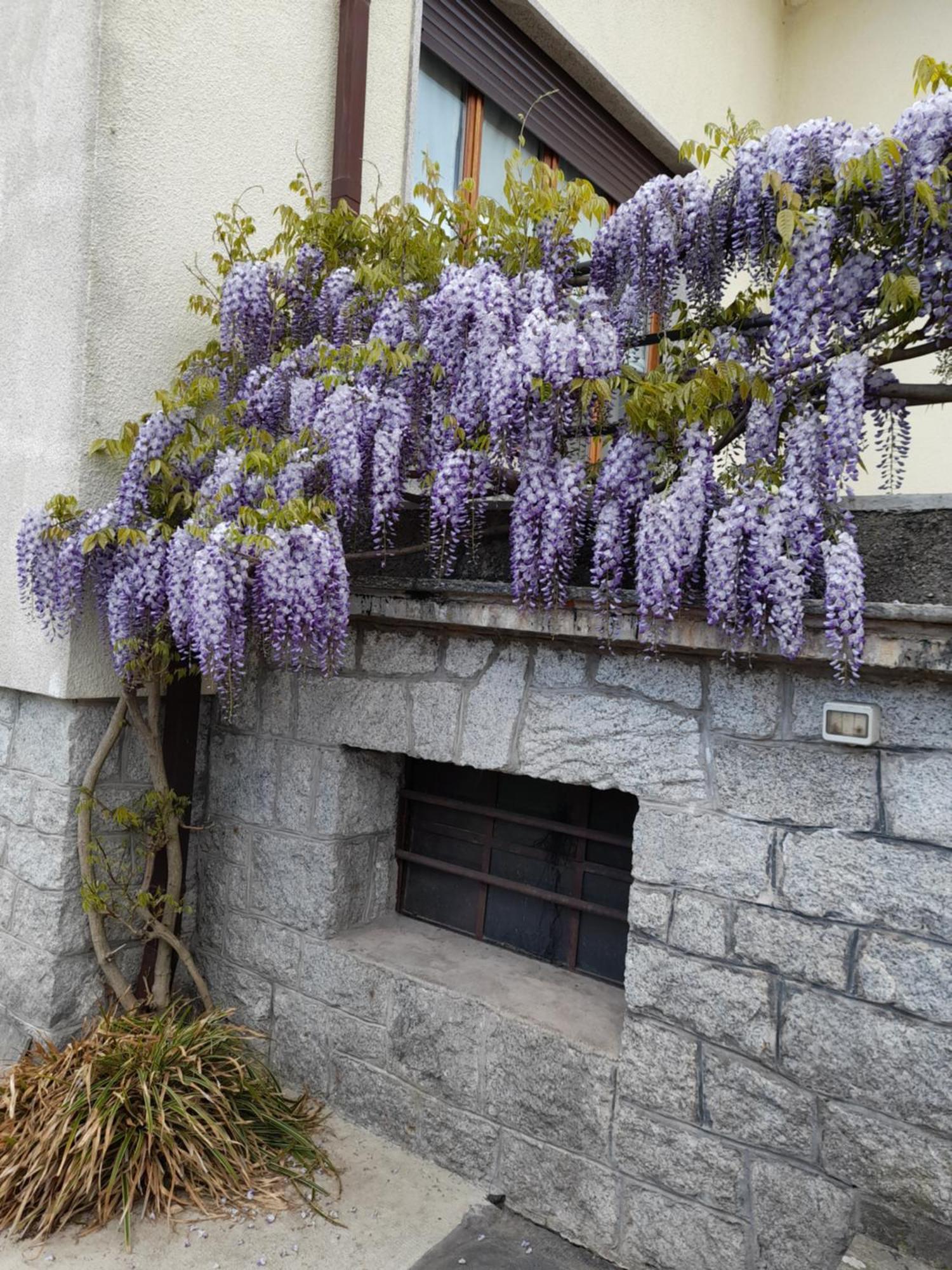 Casa Germana Daire Invorio Inferiore Dış mekan fotoğraf